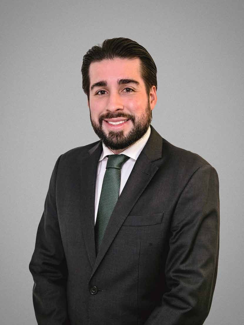 Demétrio Beck da Silva Giannakos